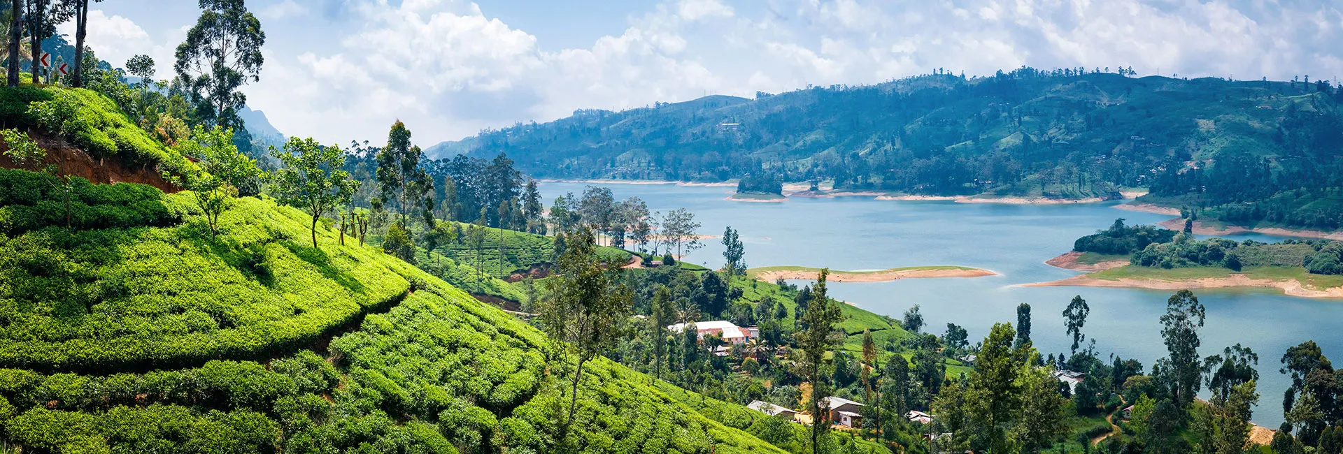 Sri Lanka Urlaub mit trendtours