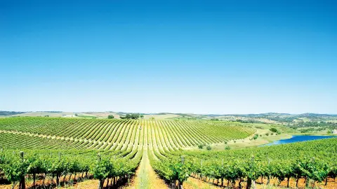 Alentejo mit trendtours erleben-placeholder
