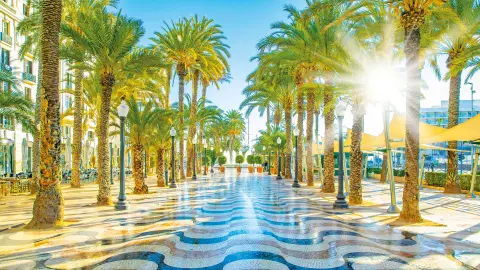 Palmenpromenade in Alicante (zubuchbar)-placeholder