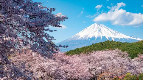 NRT111_Faszination-Japan_content_1920x1080px_Ausflug_Fuji-san-placeholder