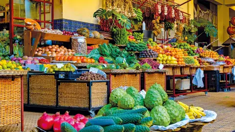 Markt in Funchal entdecken-placeholder