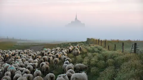 Mont-Saint-Michel-placeholder