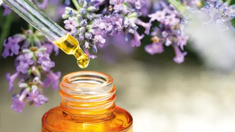 Aroma-Therapie auf Mallorca genießen-placeholder