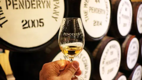 Whisky-Tasting in Penderyn Distillerie-placeholder
