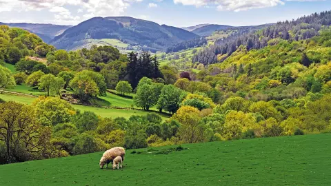 Panoramafahrt durch den Snowdonia-(Eyri)-Nationalpark-placeholder
