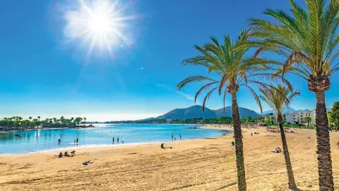 PMI119-7046_Wandern-auf-Mallorca_Bordoy-Alcudia25_content_1920x1080px_playa_d-alcudia-placeholder