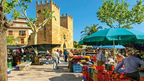 PMI117_Wandern auf Mallorca-BG Tonga_26_content_1920x1080px_Alcudia_Markt-placeholder